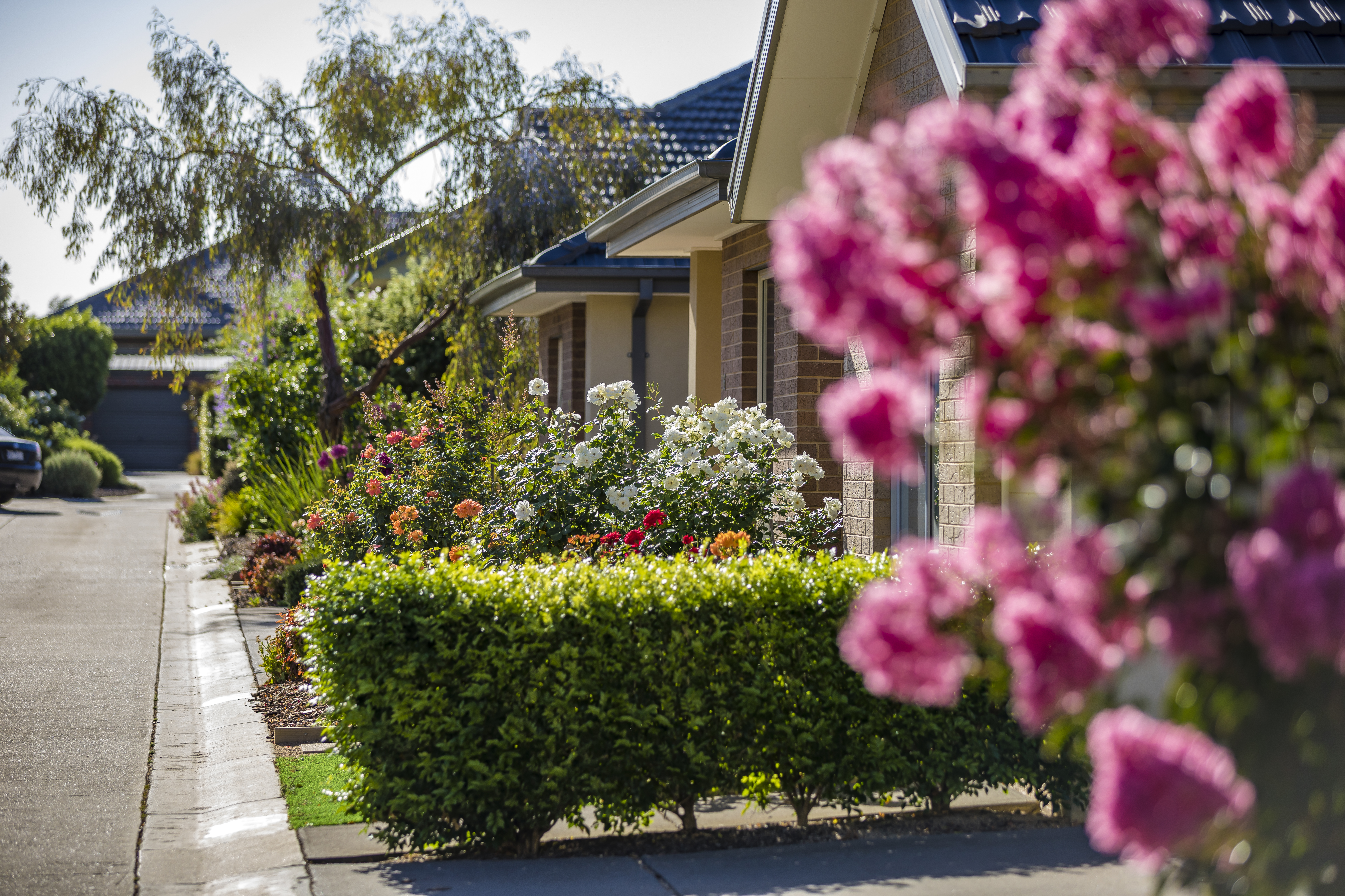 Residents walking through Caesia Gardens 