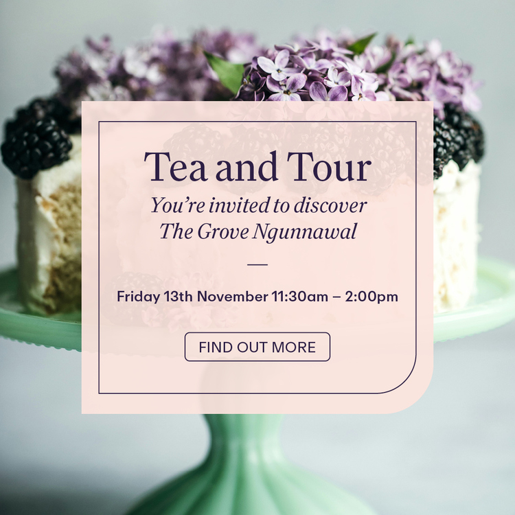 Tea and Tour