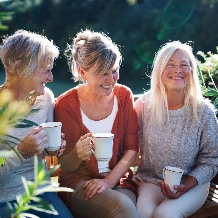 Caesia Gardens Village Open Day
