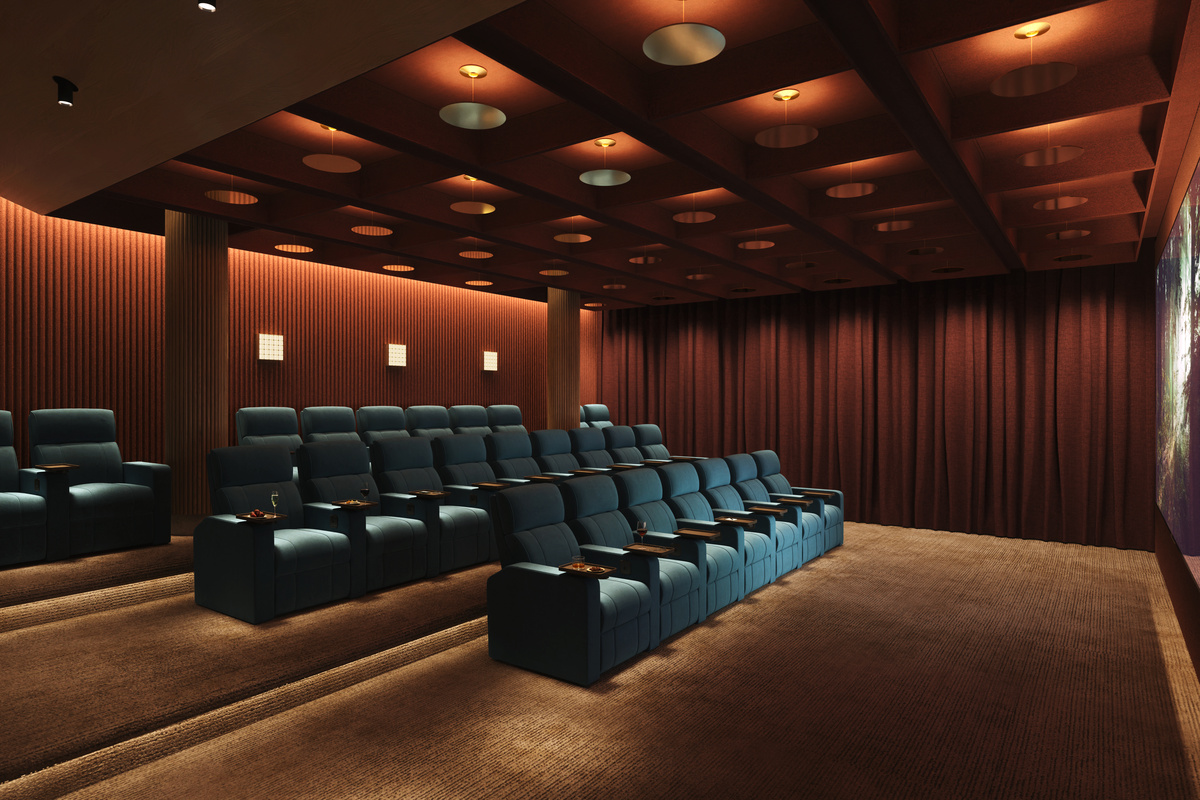 Cinema and private theatre