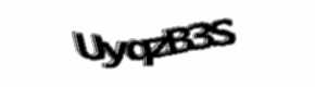 Security check image, please type the characters shown