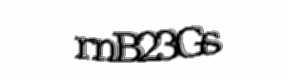 Security check image, please type the characters shown