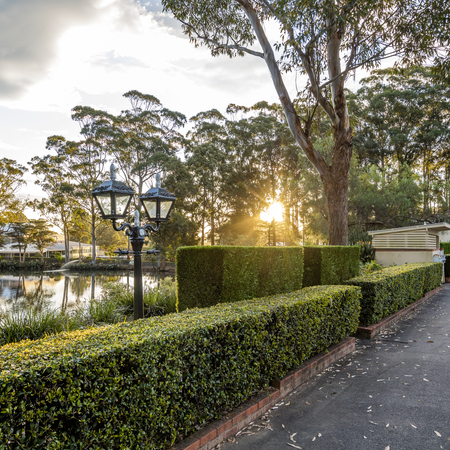 A scenic pathway in Brentwood Village next to a lake, bordered by a neatly manicured green English Box hedge.