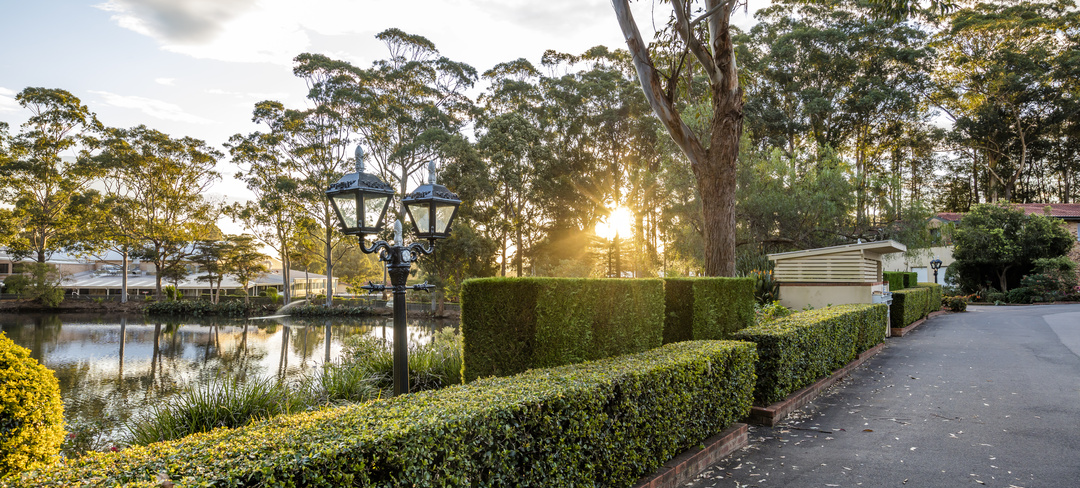 A scenic pathway in Brentwood Village next to a lake, bordered by a neatly manicured green English Box hedge.