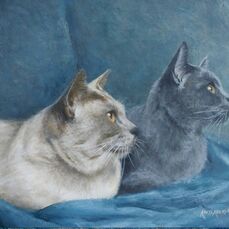 Painting of 2cats done by a Resident in Elliot Gardens