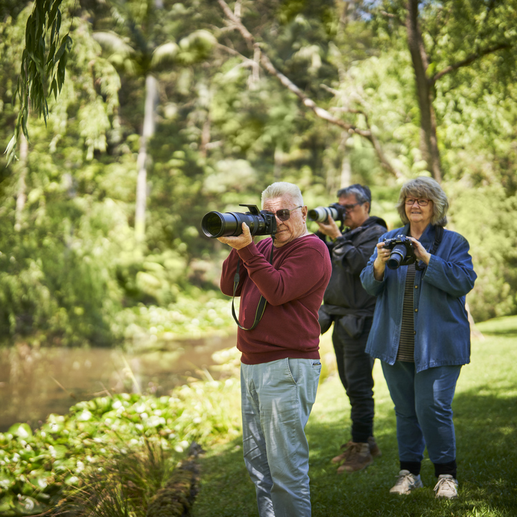 A group of seniors in the wild taking photographs