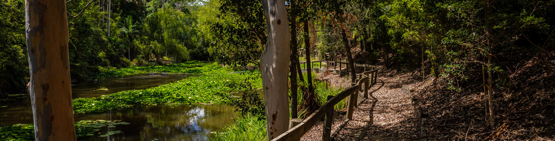 From tree-lined walking paths meandering alongside stunning rivers to jewel-like beaches and stylish seaside towns, there’s so much for retirees to enjoy on the NSW Central Coast.