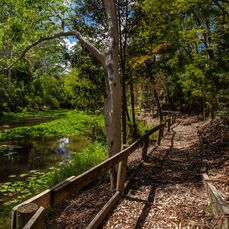 From tree-lined walking paths meandering alongside stunning rivers to jewel-like beaches and stylish seaside towns, there’s so much for retirees to enjoy on the NSW Central Coast.