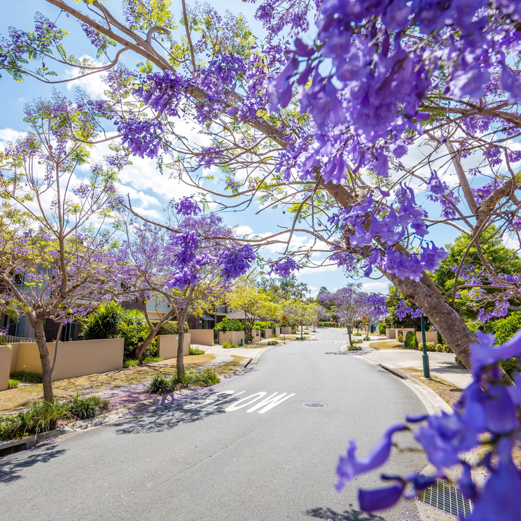 Beautiful streetscapes