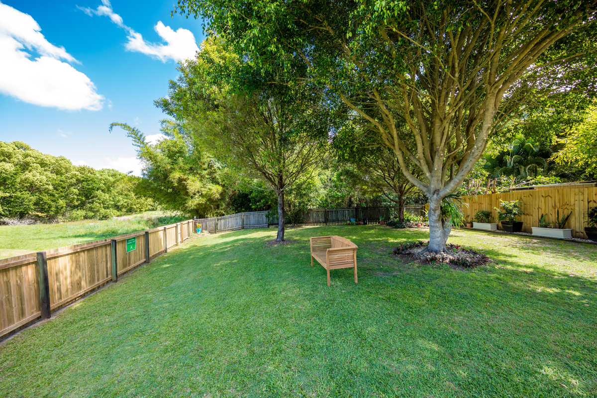 Hibiscus Nambour - Leafy Surrounds
