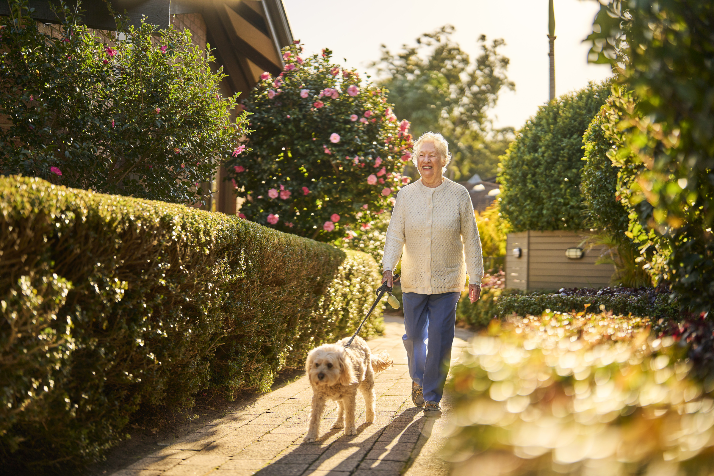 DWGV - Dee Why Gardens Pet Friendly Village