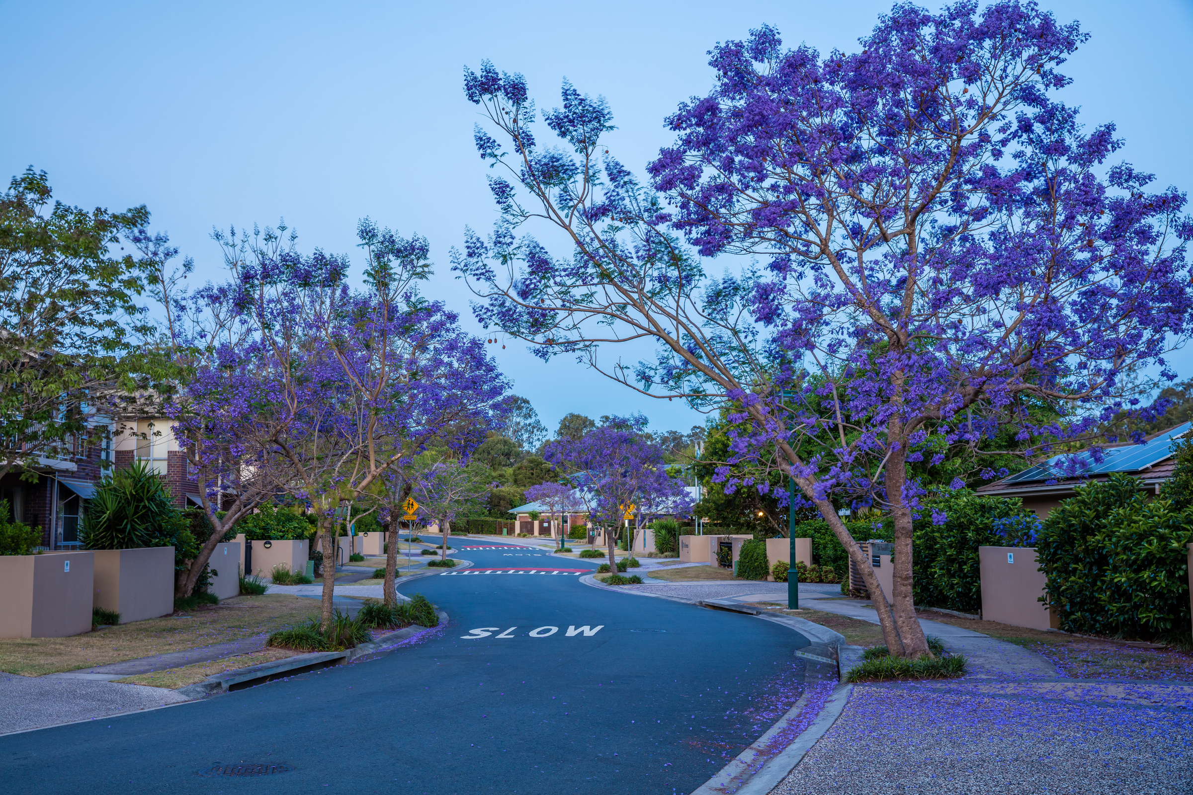 The Terraces Village buildings at night