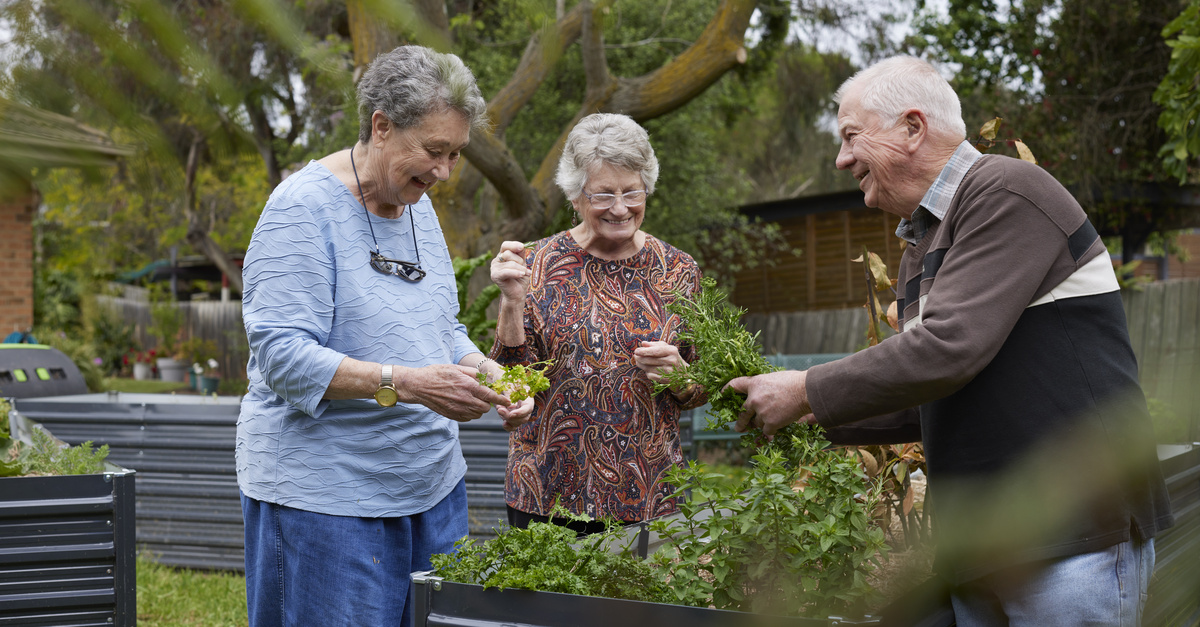 Three seniors in the vegetable garden and having a good time.
