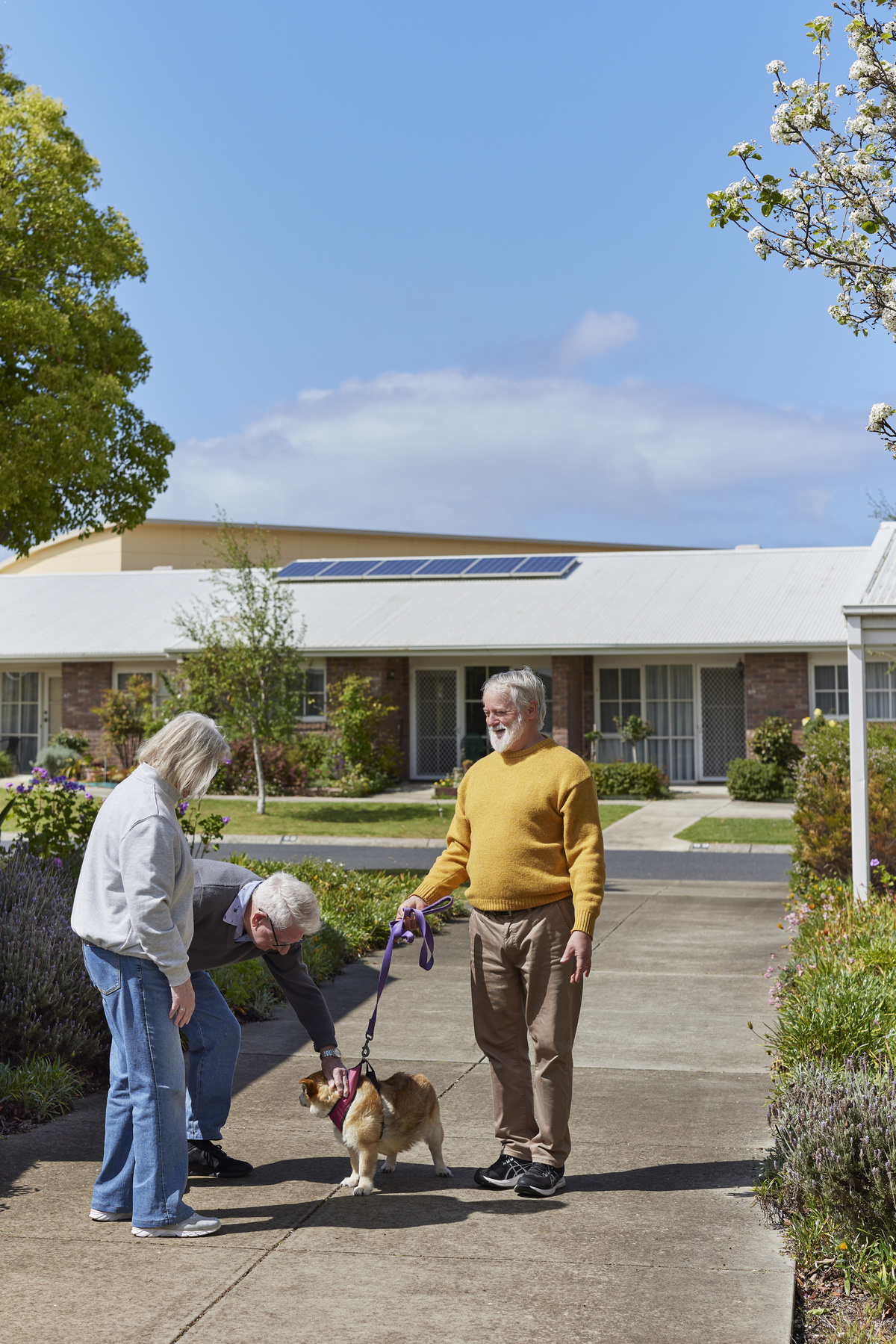 Heathglen Village residents patting the dog