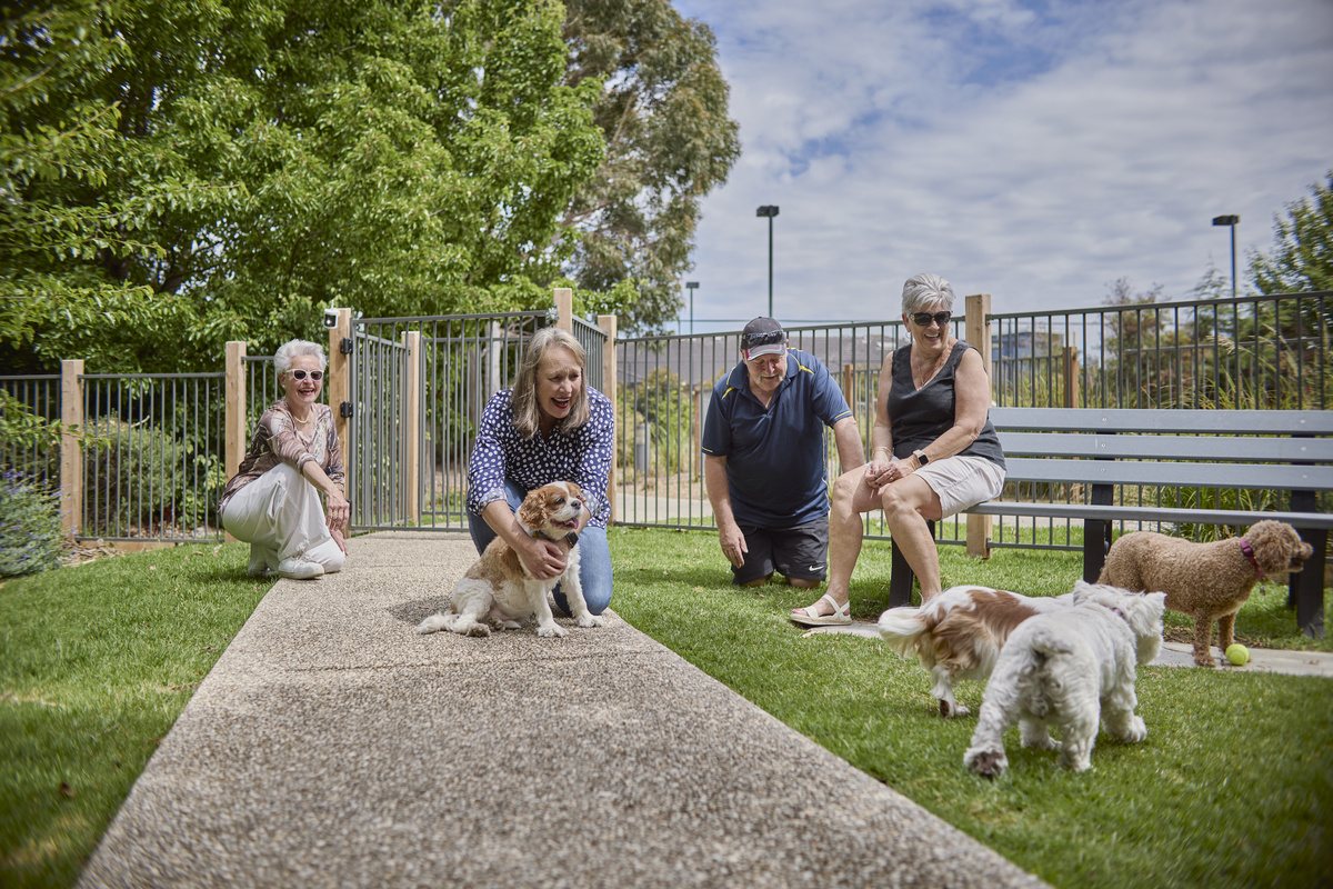Residents at the village dog park