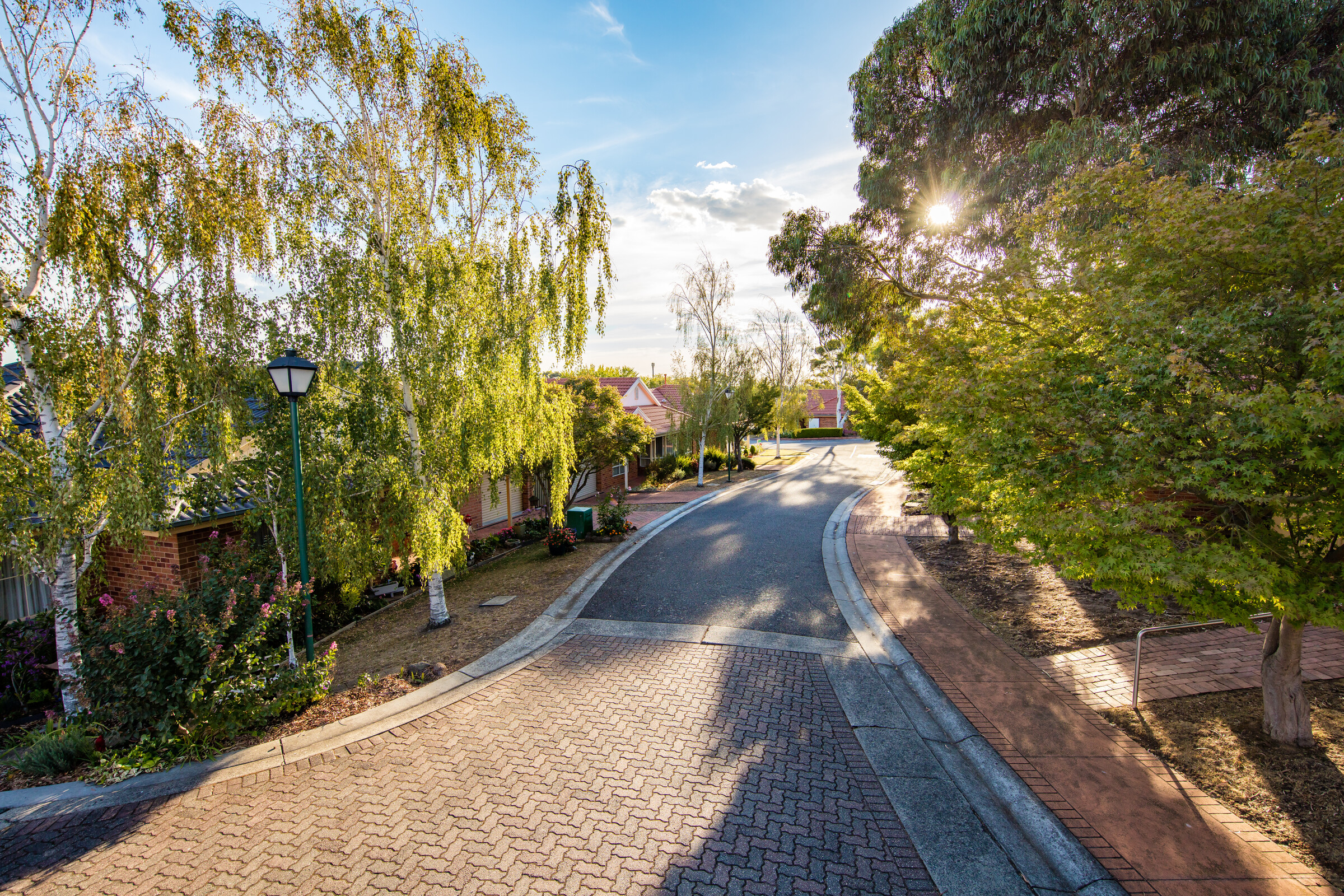 Fiddlers Green road lined by houses, gardens and trees