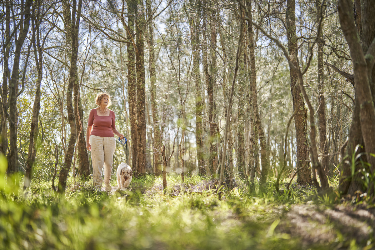 A woman walking her dog through a forest