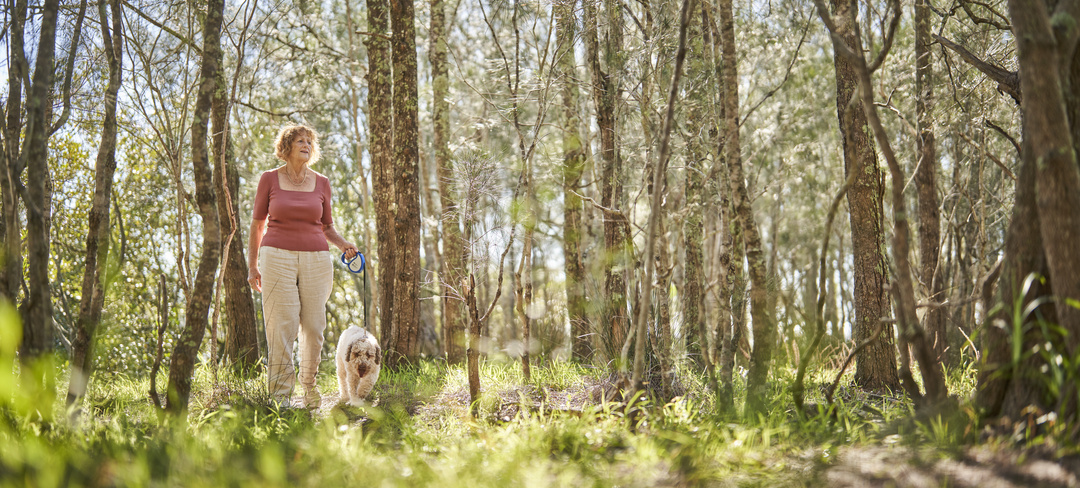 An elderly woman walking her dog through the beautiful scenery of the Central Coast