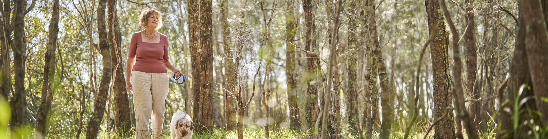 An elderly woman walking her dog through the beautiful scenery of the Central Coast