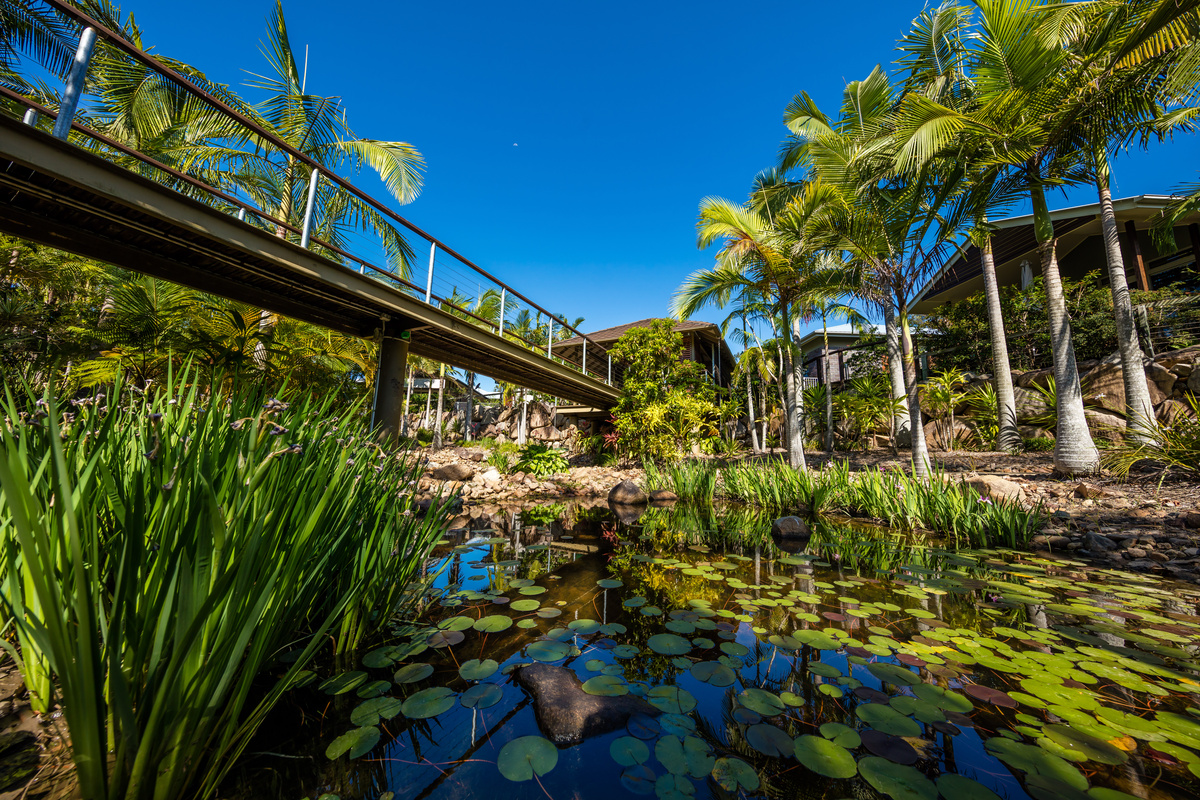 The Terraces creek