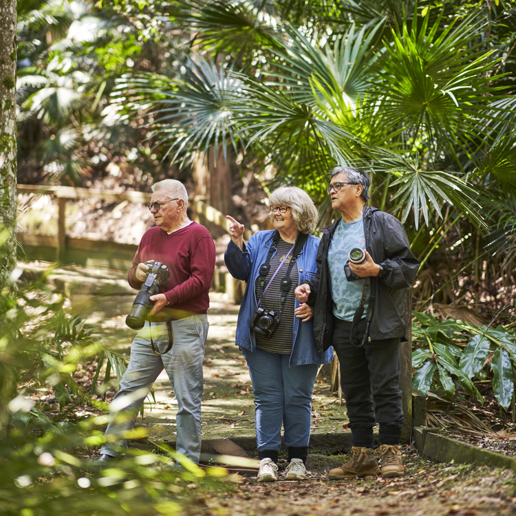 Three retirees with cameras exploring the Central Coast