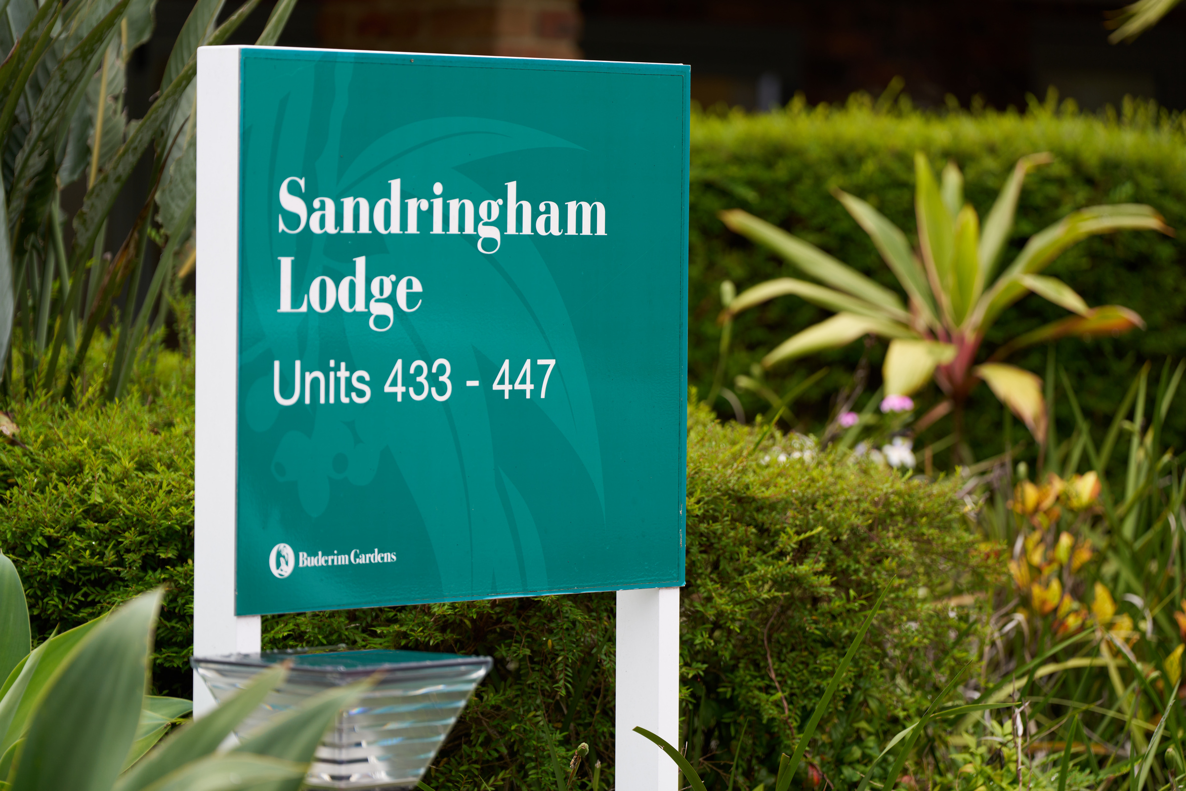 Sandringham Lodge grand reopening event - 11 Dec 24