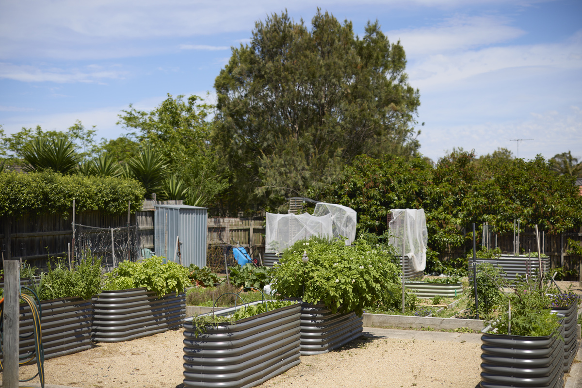 Koorootang Court Community Garden