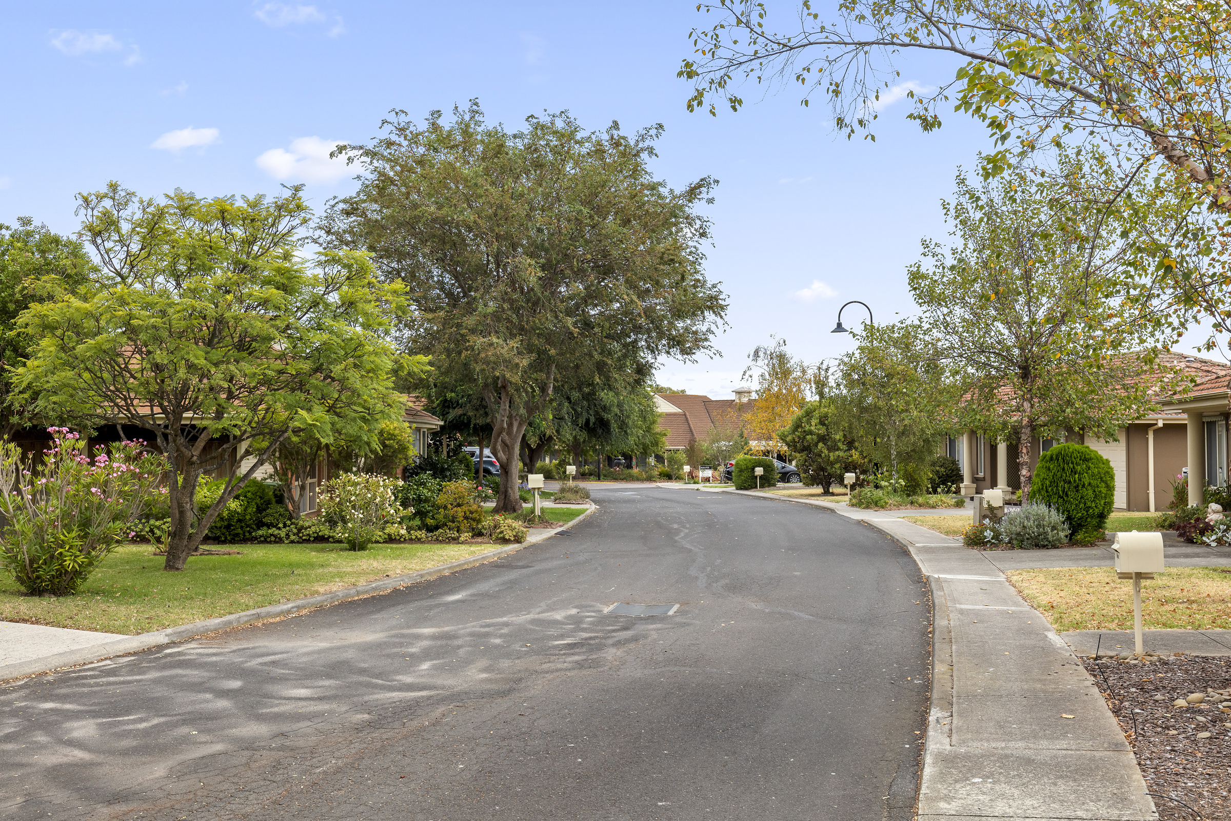 Windsor Park aerial image of village roadway lined with homes, trees, gardens and lawns