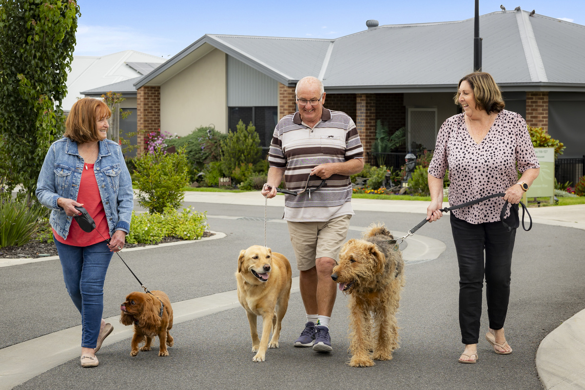 Alan and his Labrador lady Rosy (middle) enjoying a friendly stroll through Sherwin Rise with neighbours