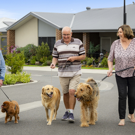 Three Sherwin Rise residents walking their dogs together in the retirement village