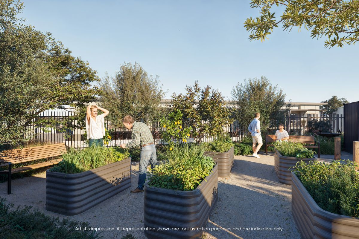 Community Garden Retirement Villages Sunshine Coast