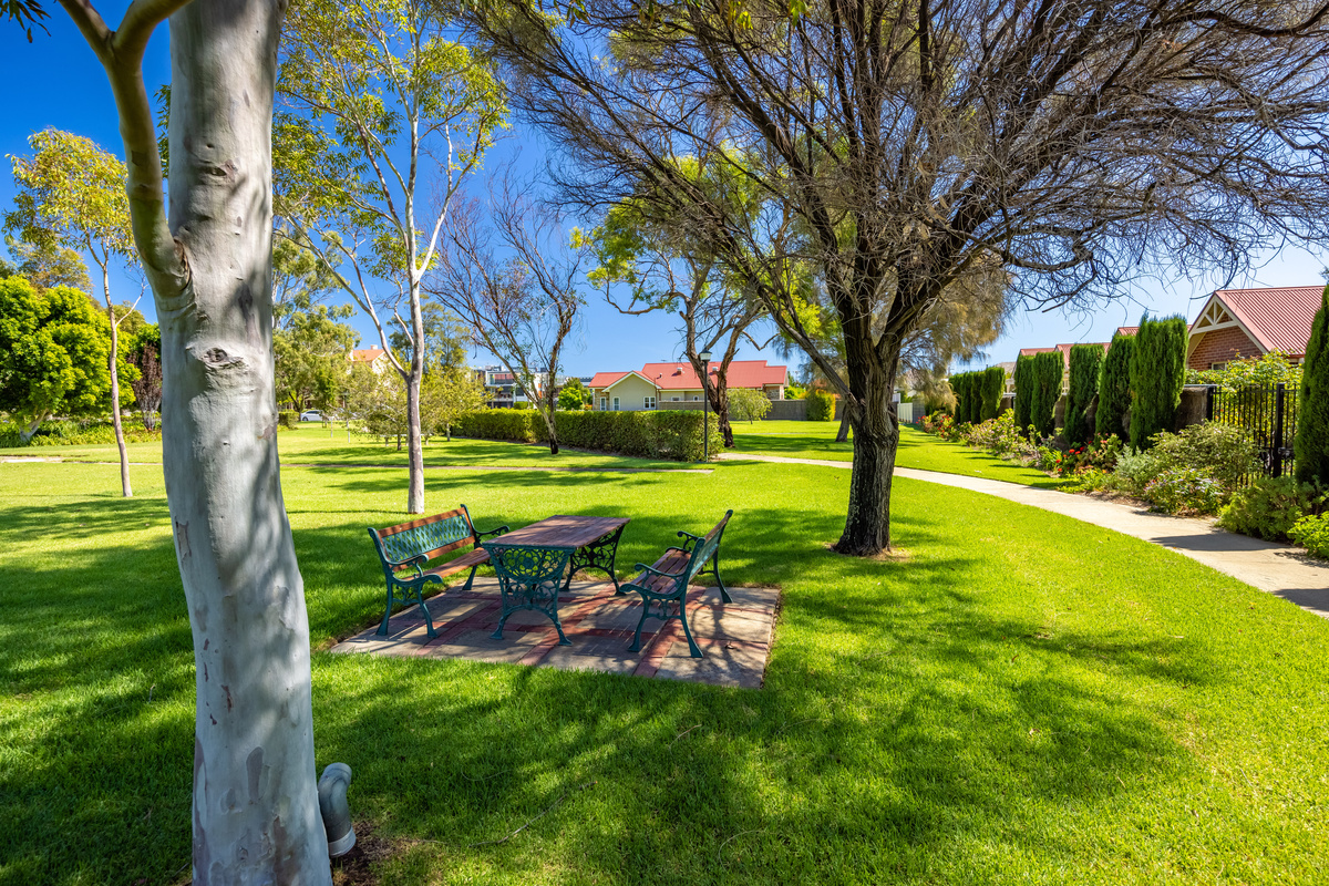Townsend Park garden