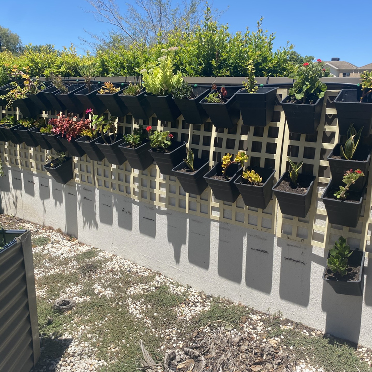 designed for sustainability garden sustainable garden village initiative sustainability