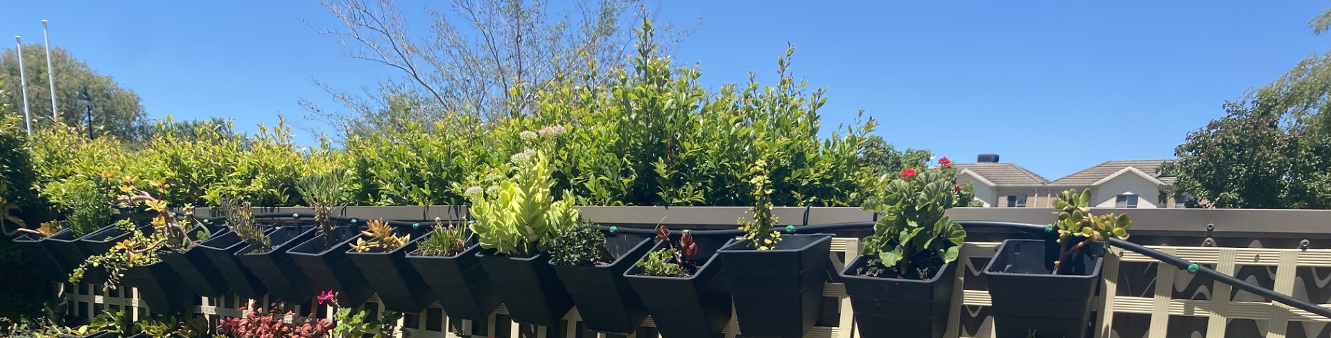 designed for sustainability garden sustainable garden village initiative sustainability