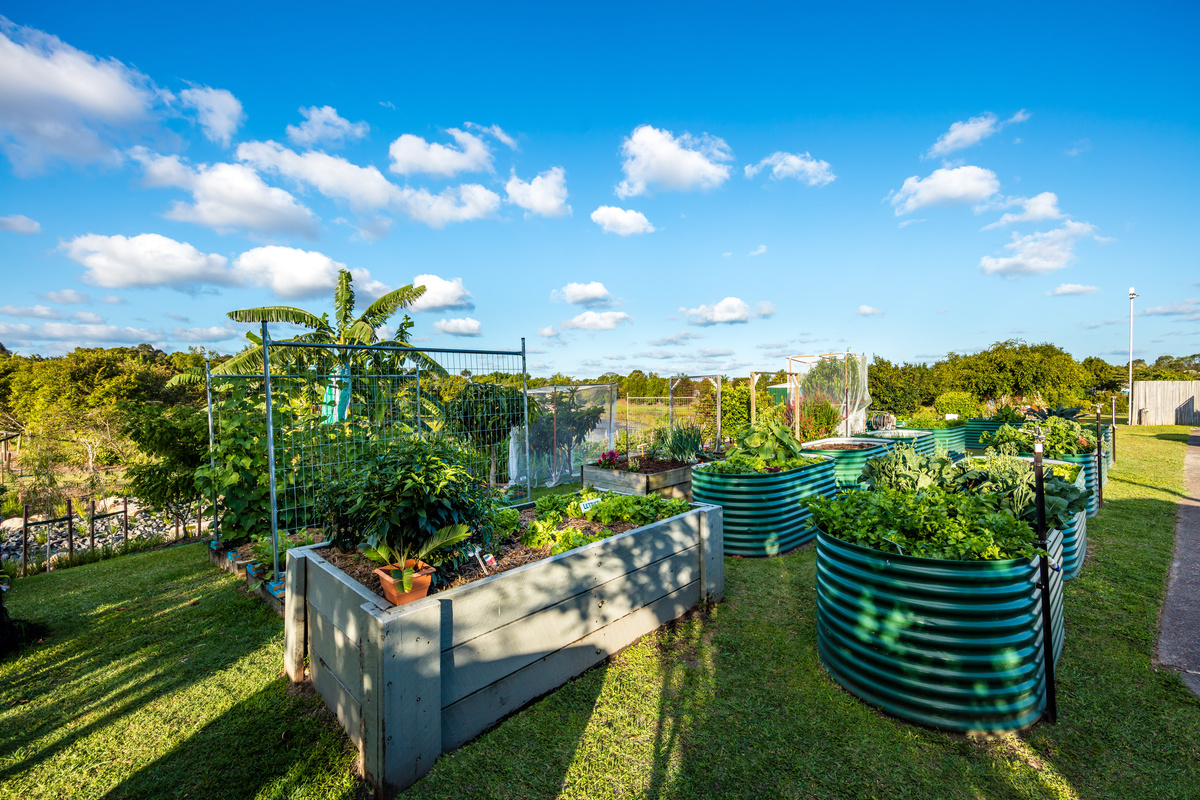 BELV - Bellflower Resort - Village photography Gardens