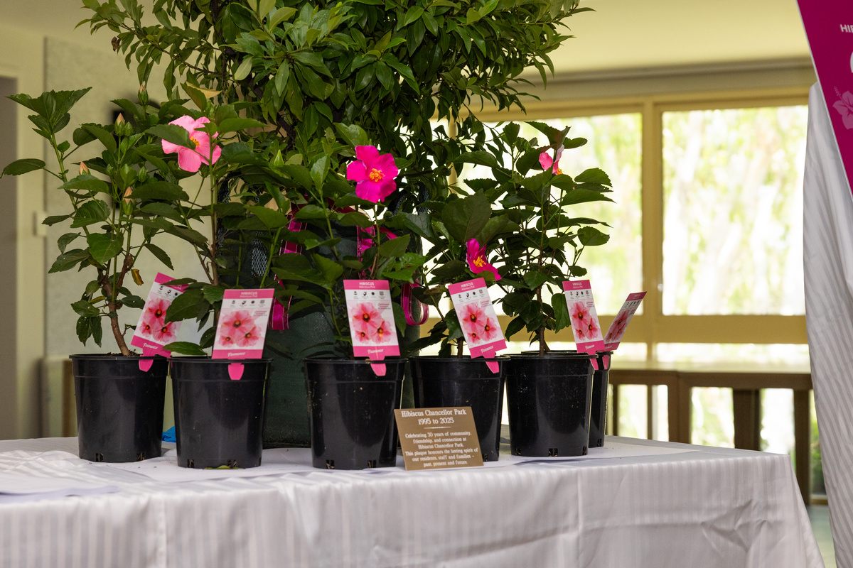 Celebrating 30 years of community 