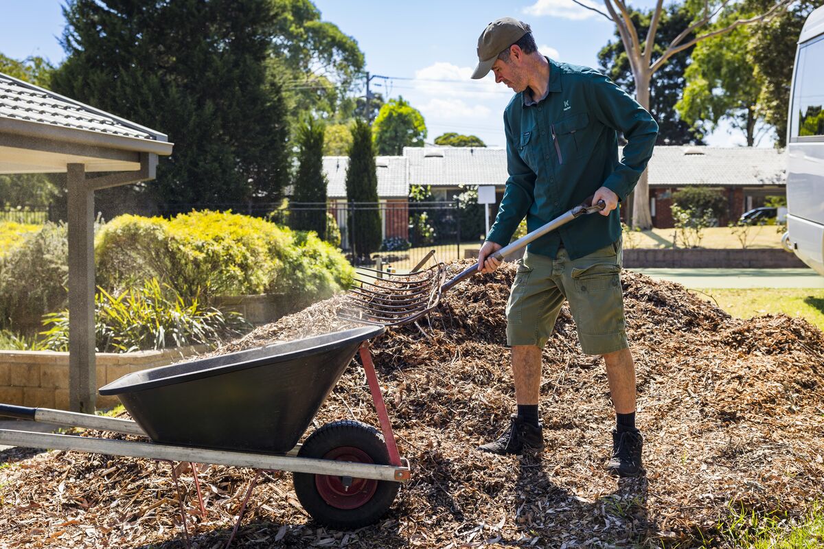 Gardener Troy Urlichs in the garden with a shovel and a wheelbarrow