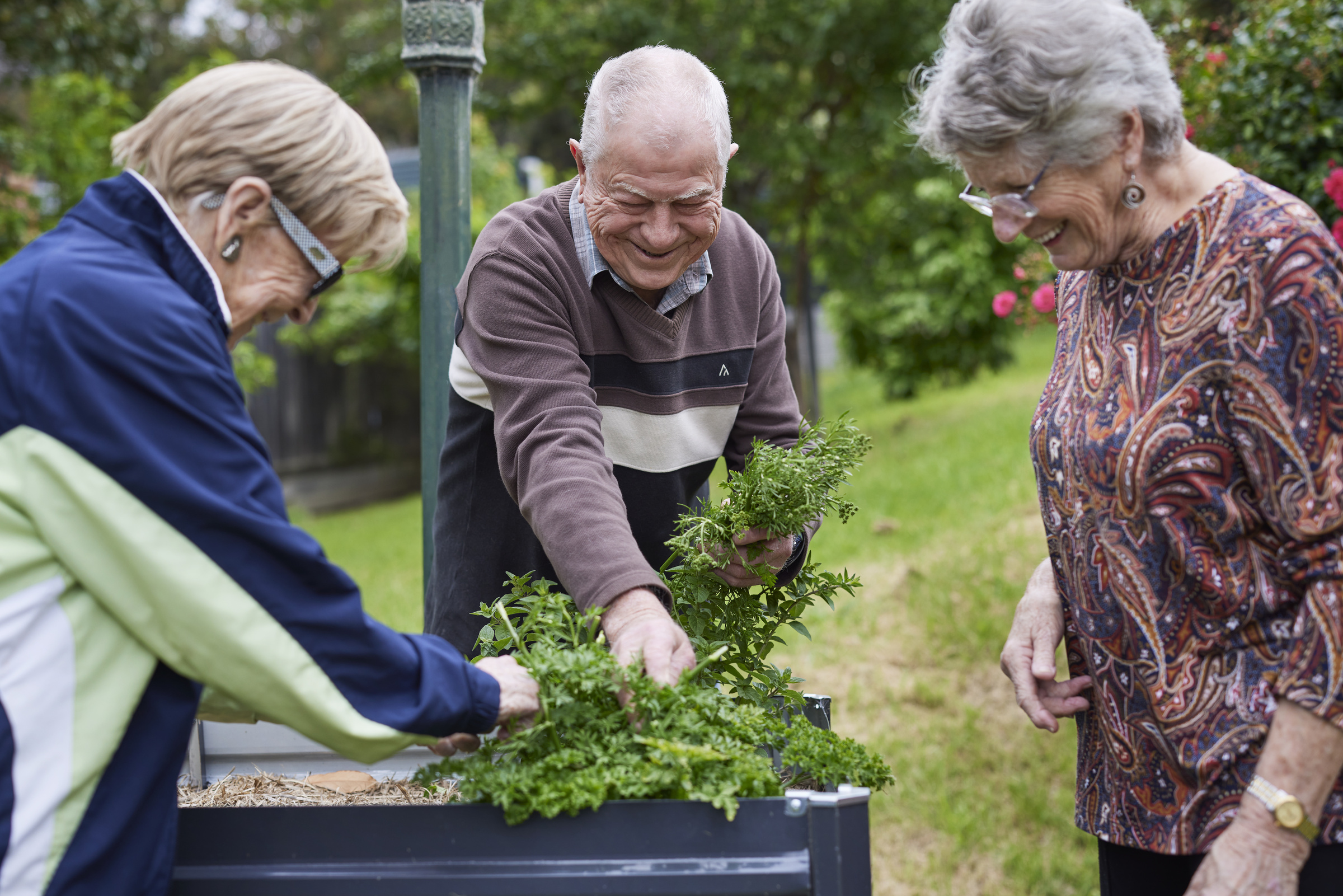Viewbank Gardens Community Garden