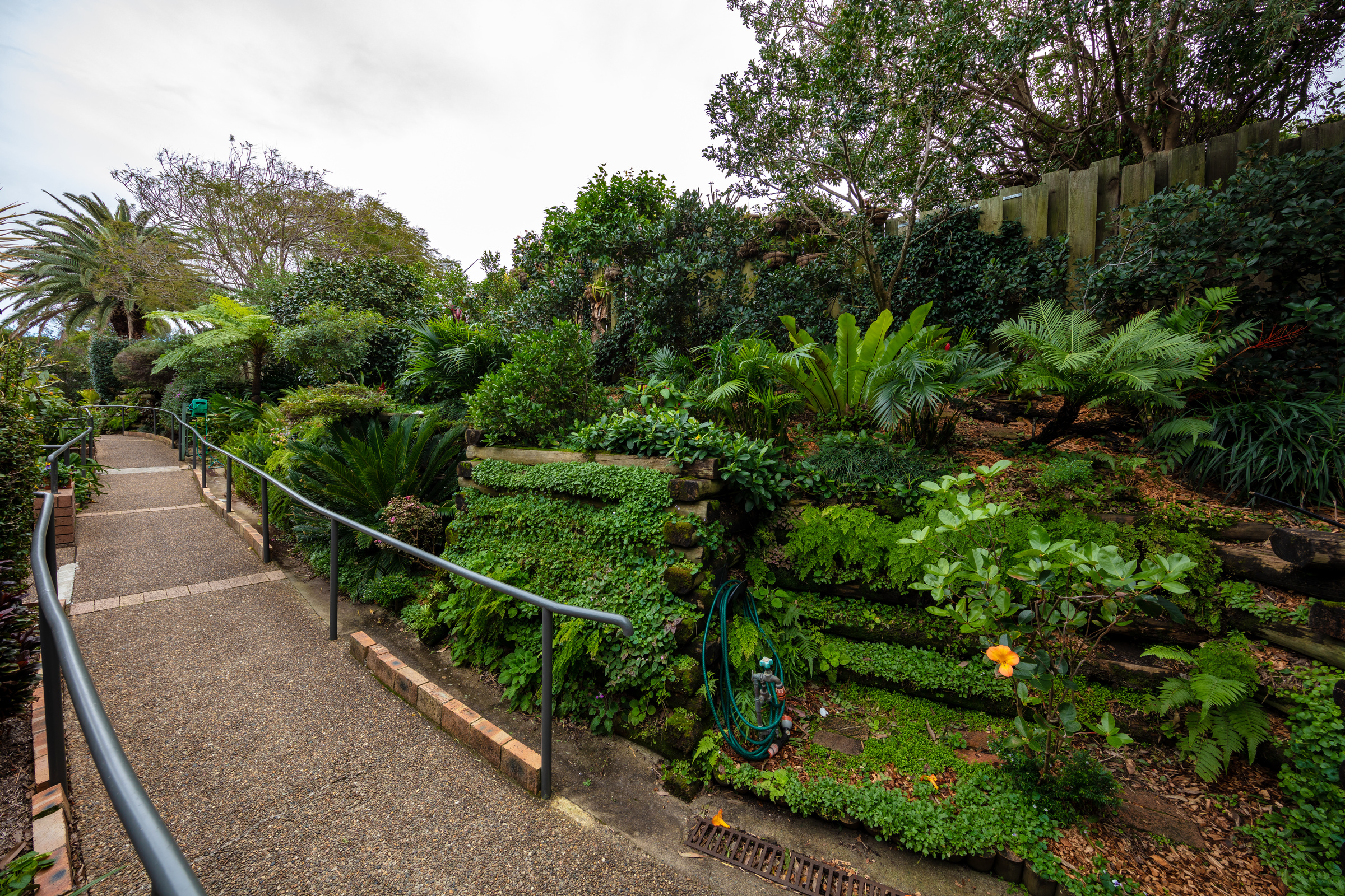 Pittwater Village  Photography Walkway through Gardens