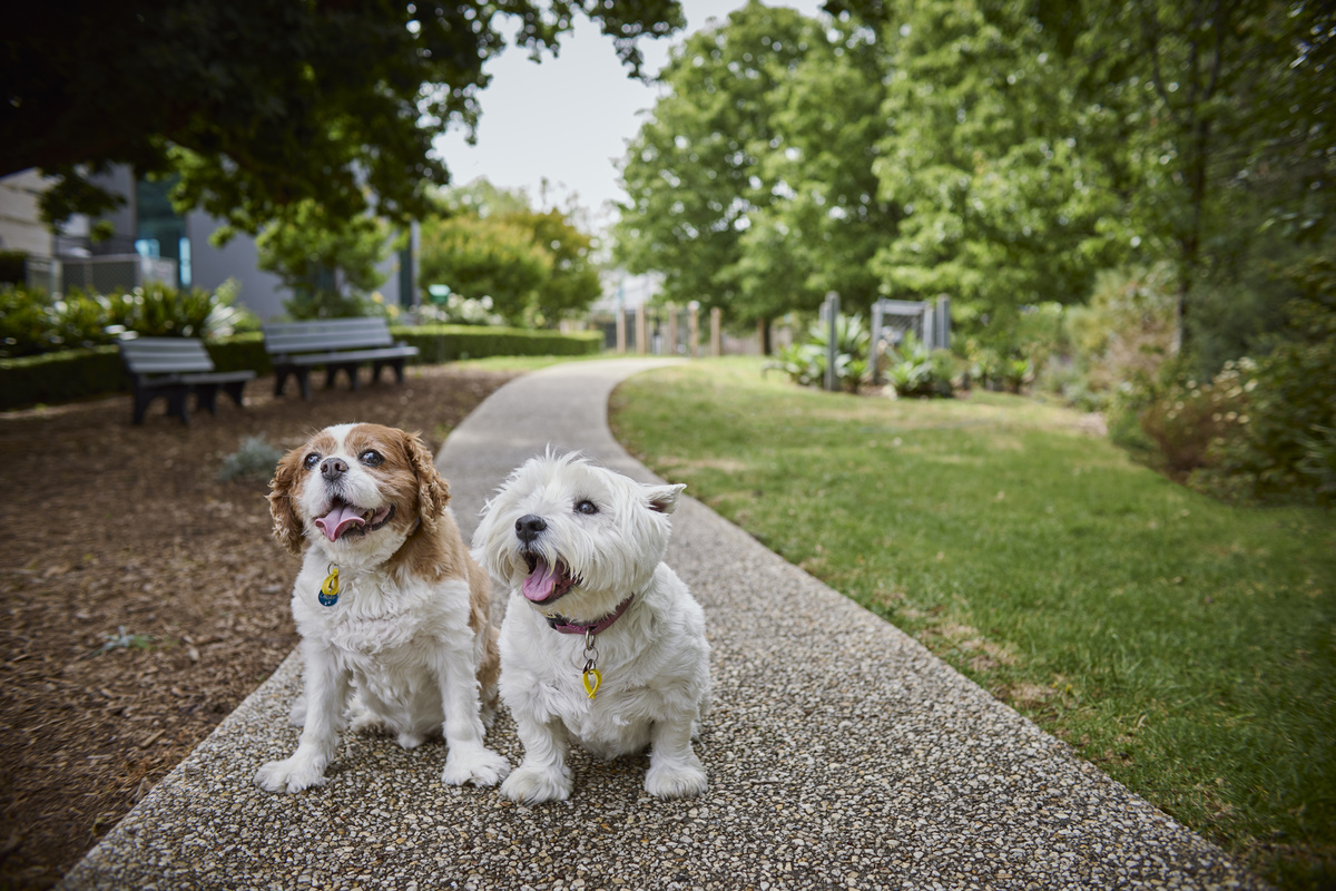Catherine Black lifestyle photography Woodlands Park