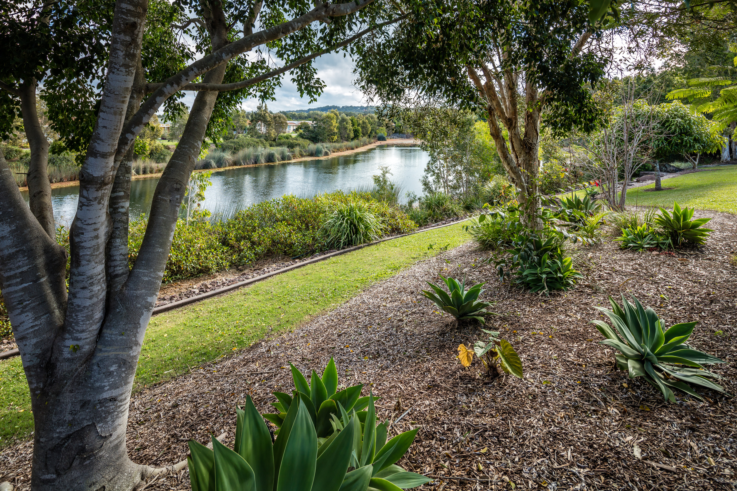 CHPV - Hibiscus Chancellor Park - Village Photography