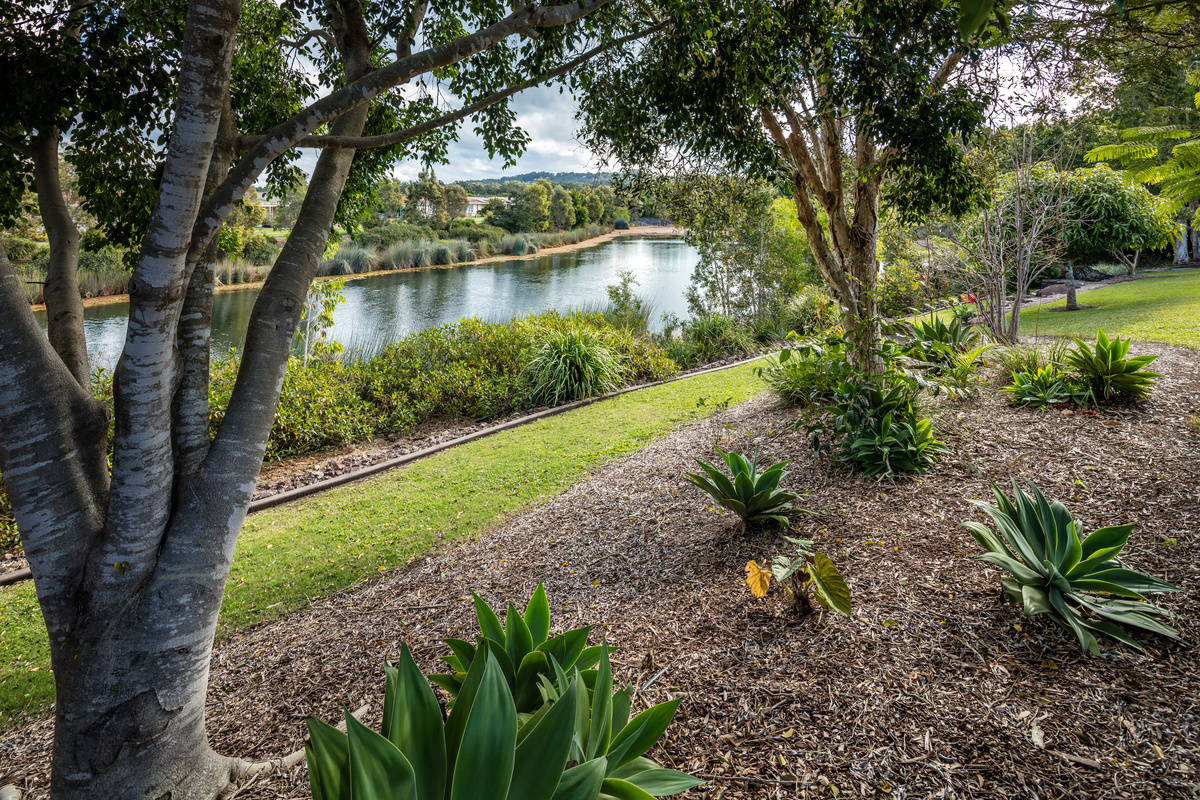 CHPV - Hibiscus Chancellor Park - Village Photography