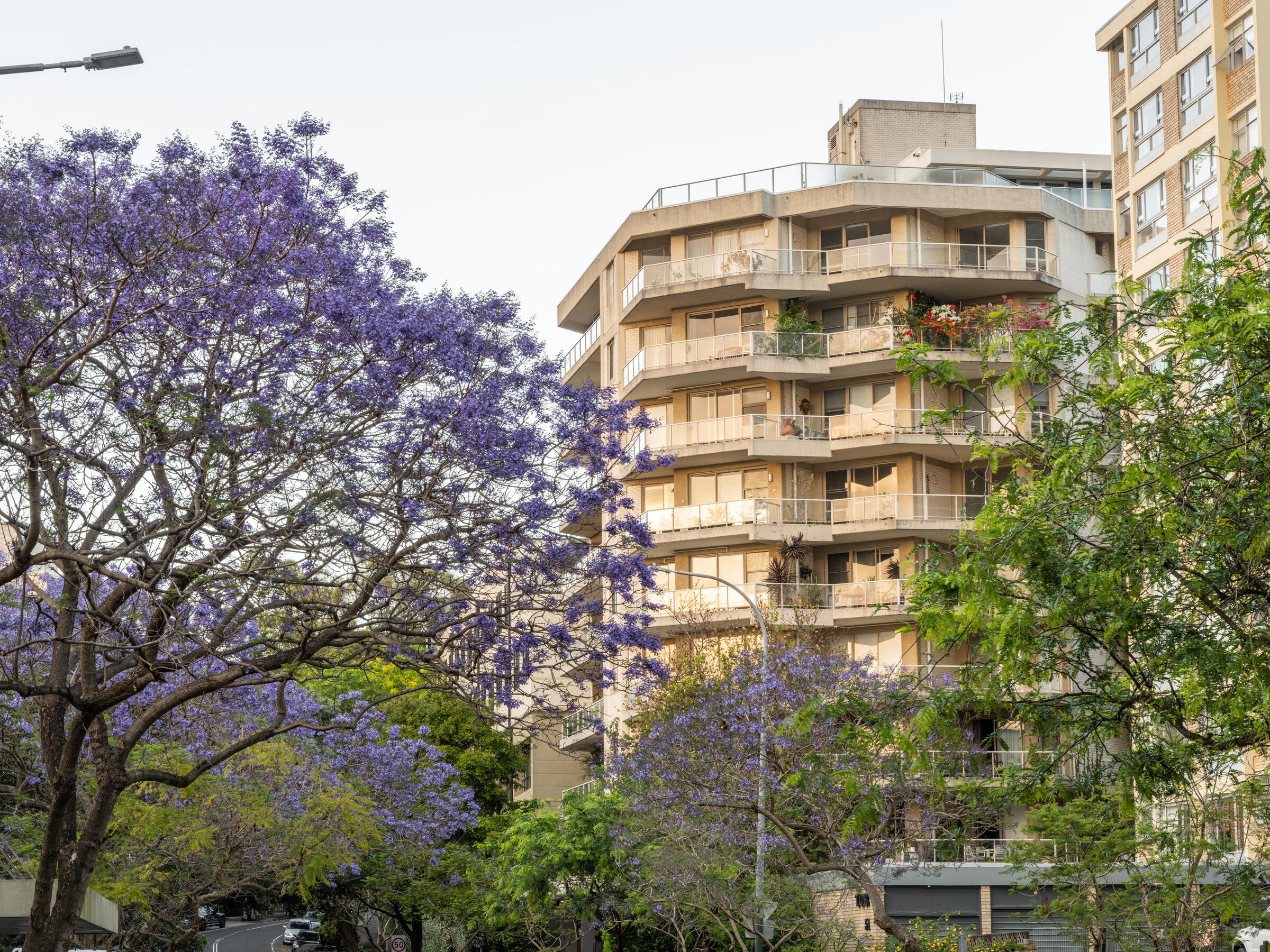 TREV - Trebartha Apartments - Village Photography Apartment View through Purple Flowering Tree