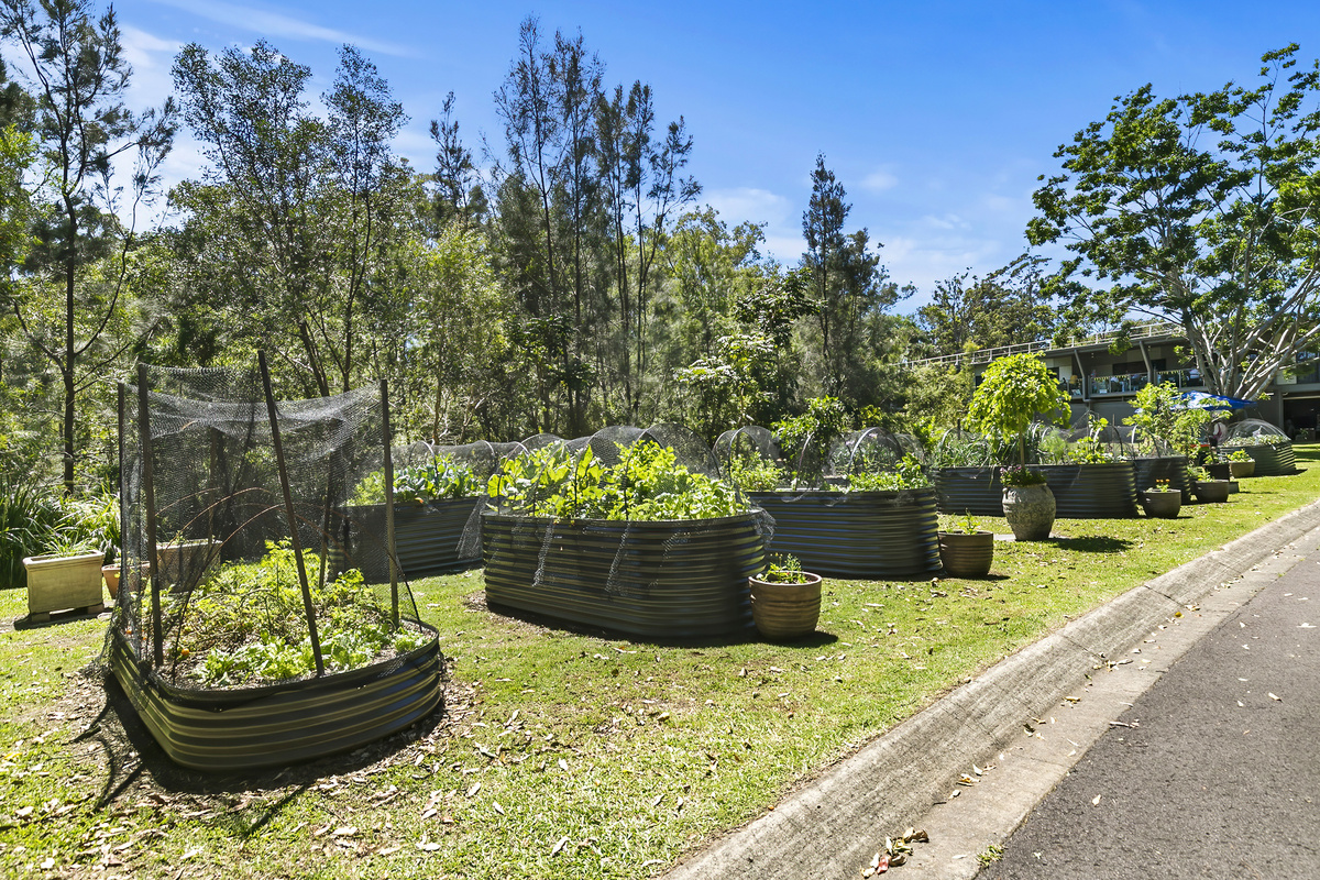 BUGV_Buderim Gardens_Village_Community Gardens