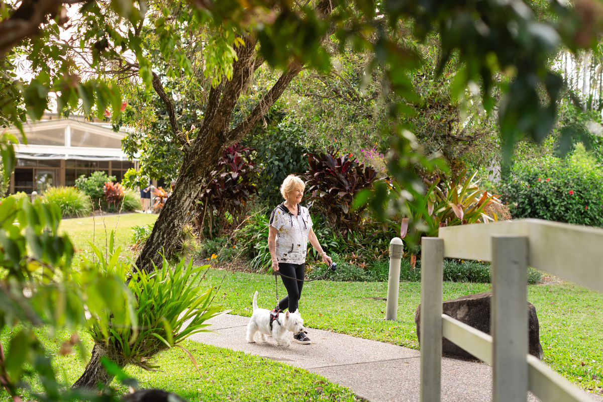 Bellflower Dog friendly