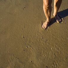 Close up image of woman's bare feet walking on wet sand.