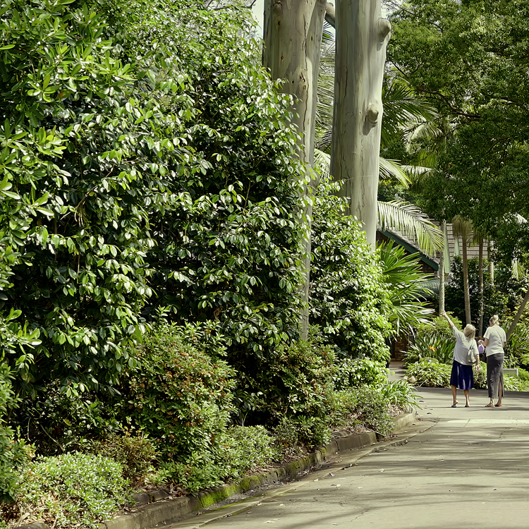 A resident walking through the lush gardens at Henry Kendall Gardens with their family