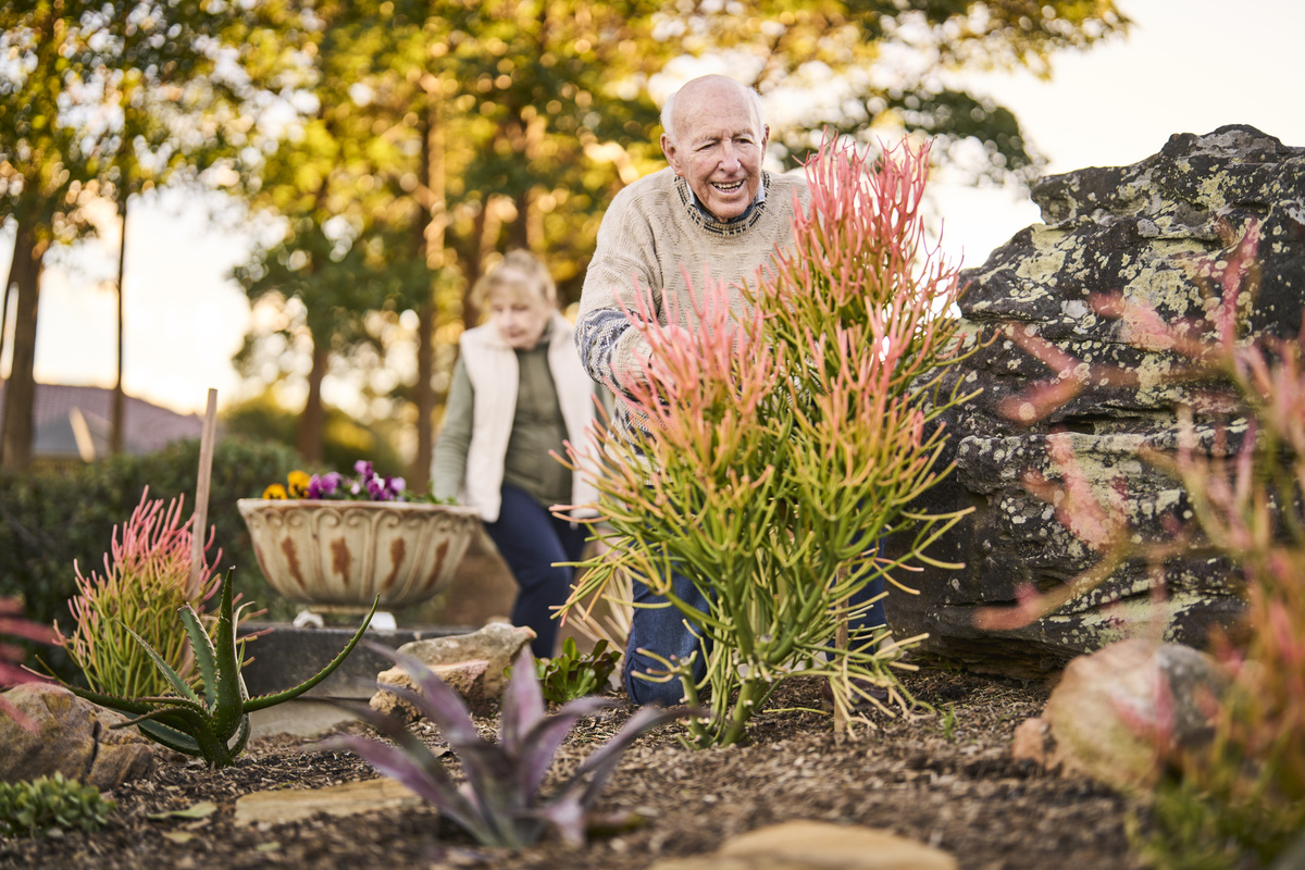 A male and a female volunteer working in the gardens of a retirement village