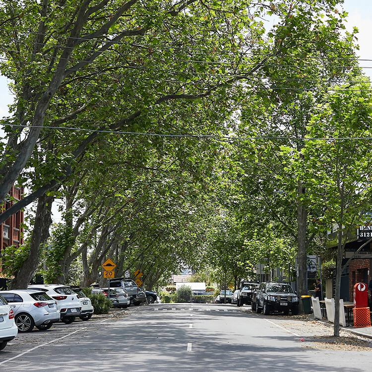 Lifestyle image of a leafy street in Richmond Melbourne