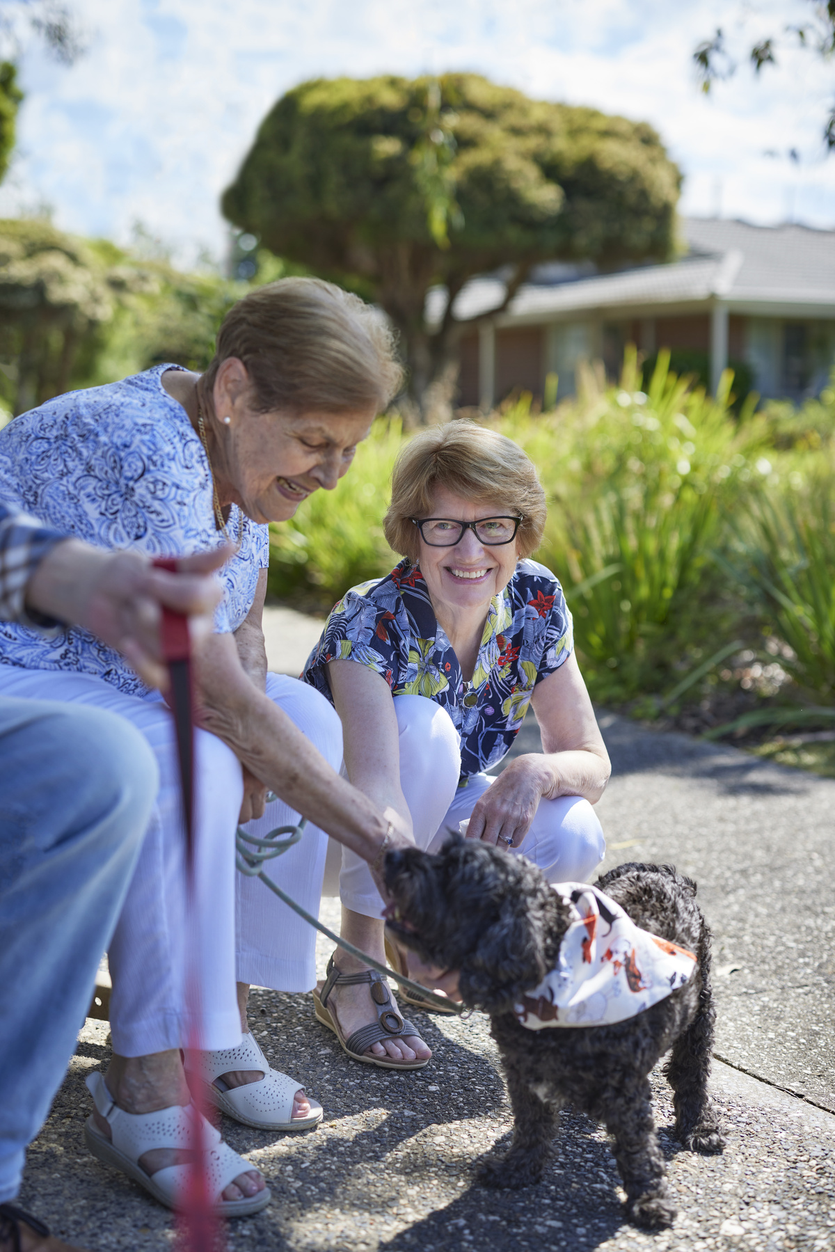 Highvale Village Pet-friendly 2